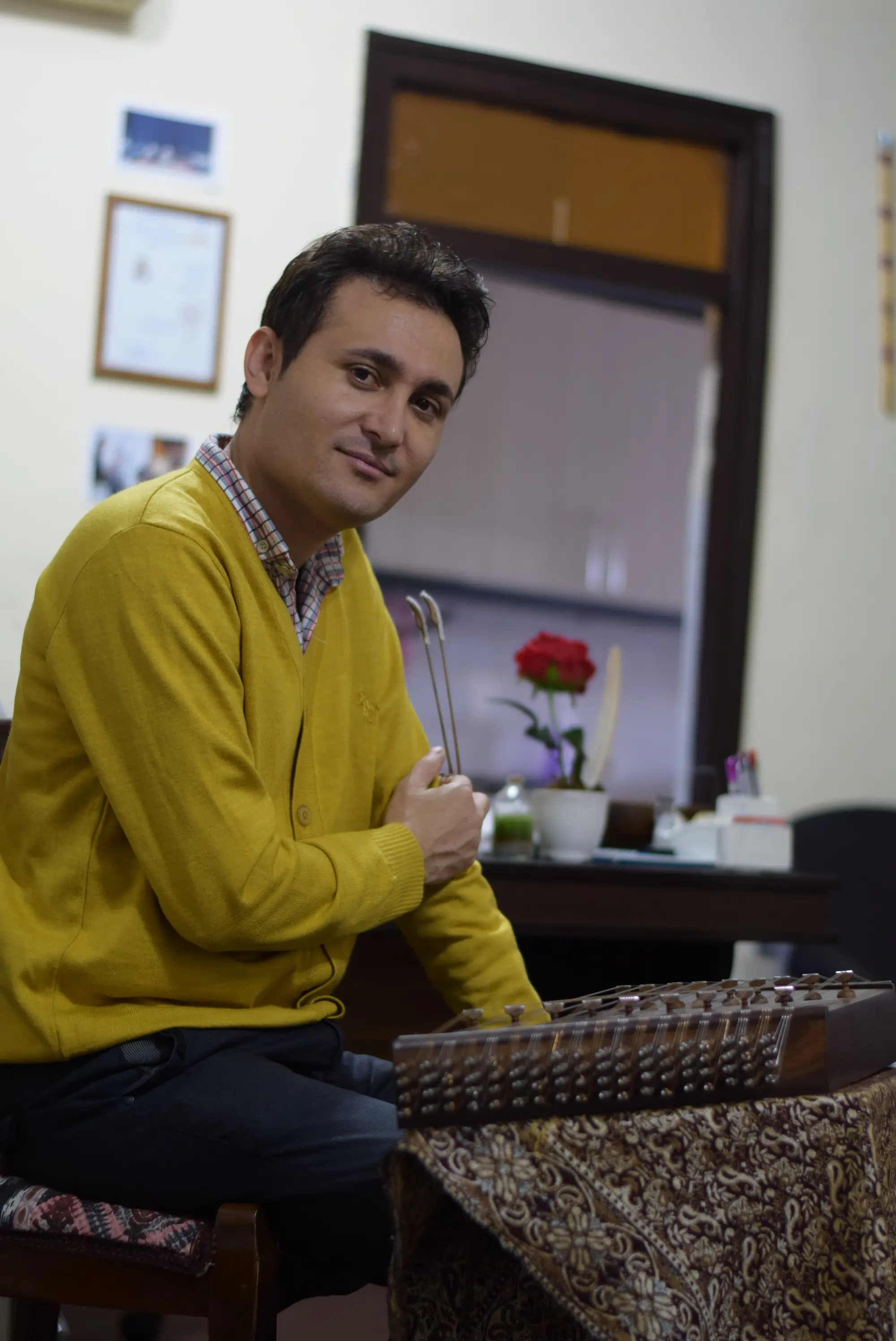 هادی محمدی ، ارغنون
